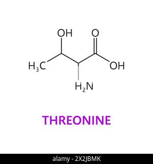 Molécule chimique d'acide aminé thréonine, structure de chaîne essentielle. Composé moléculaire de protéine musculaire, chaîne chimique de supplément nutritionnel ou formule vectorielle de molécule d'acide aminé essentiel Illustration de Vecteur