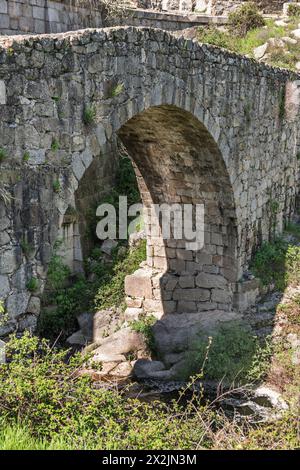 Les ponts ont leur origine dans la même préhistoire. Peut-être le premier pont dans l'histoire était un arbre qu'un préhistorique utilisé pour relier les deux interdictions Banque D'Images