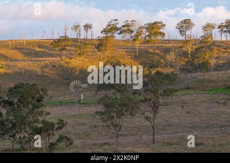 Paysage australien de l'Outback dans le Queensland au coucher du soleil avec arbres indigènes et ciel bleu dans la zone rurale avec moulin à vent emblématique en vue. Banque D'Images