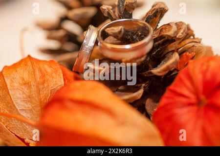 Dans cette composition chaleureuse, deux bandes de mariage sont perchées au sommet d'une pomme de pin, encadrées par les textures douces des feuilles d'automne. L'image transmet le romantisme et l'intemporalité d'un mariage, enrichi par les tons naturels et terreux de la saison d'automne. Élégance nuptiale : bandes de mariage contre un affichage d'automne rustique. Photo de haute qualité Banque D'Images