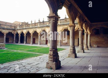 Cour d'Escuelas Menores. Université, Salamanque, Castilla Leon, Espagne. Banque D'Images