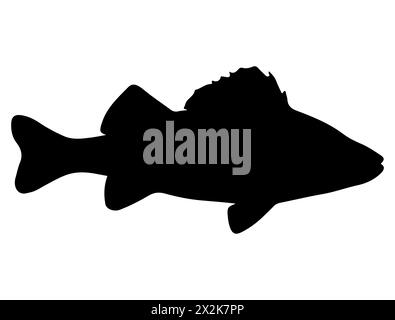 Art vectoriel de silhouette de poisson de perche Illustration de Vecteur