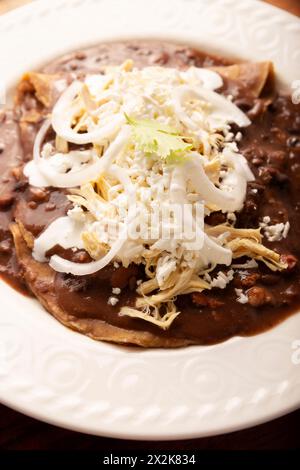 Enfrijoladas. Tortillas de maïs trempées dans de la sauce aux haricots, recouvertes de crème et de fromage, elles peuvent être recouvertes ou fourrées de viande de poulet, de fromage ou d'avoine Banque D'Images