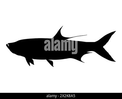 Art vectoriel de silhouette de poisson Tarpon Illustration de Vecteur