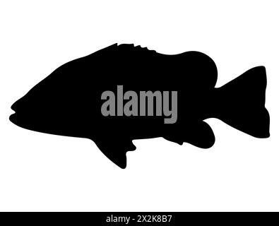 Art vectoriel de silhouette de poisson tilapia Illustration de Vecteur