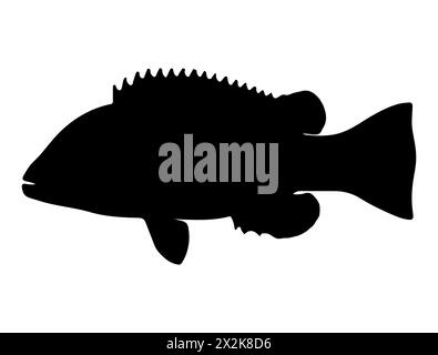 Art vectoriel de silhouette de poisson tilapia Illustration de Vecteur