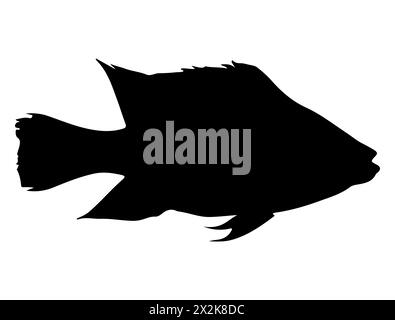 Art vectoriel de silhouette de poisson tilapia Illustration de Vecteur