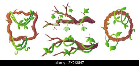Cadres et branches de liane de jungle isolés sur fond blanc. Illustration vectorielle de dessins animés de bordures carrées et rondes, bois décoré de vigne verte et de feuillage, plante de forêt tropicale humide Illustration de Vecteur