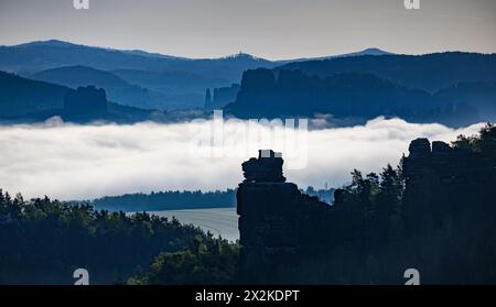 Gohrisch, Allemagne. 23 avril 2024. Le brouillard dérive le matin en Suisse saxonne entre le rocher Hunskirche sur le Papststein (en face) et le Falkenstein (à gauche) à côté de la Schrammsteine. Crédit : Robert Michael/dpa/Alamy Live News Banque D'Images