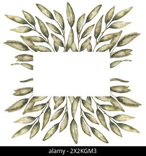 Aquarelle olives feuilles illustration de cadre, clipart de couronne de verdure Banque D'Images