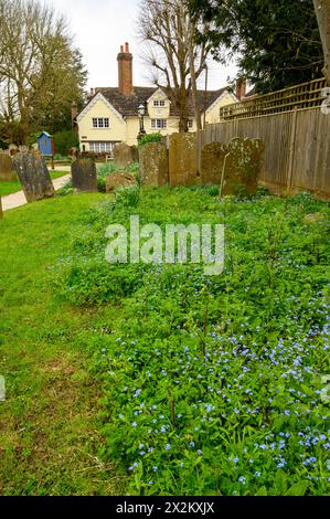 Le cimetière aux pierres tombales et aux fleurs oubliées au restaurant Mary's Church dans la ville historique de Horsham dans le Sussex de l'Ouest, en Angleterre. Banque D'Images