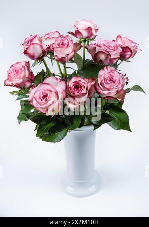 Rot-weiße Rosen dans KPM-vase Banque D'Images