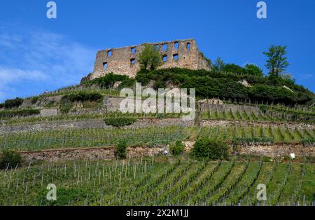 Géographie / voyage, Allemagne, Bade-Wuertemberg, ruine du château de Staufen, Staufen dans le Breisgau, DROITS-SUPPLÉMENTAIRES-AUTORISATION-INFO-NOT-AVAILABLE Banque D'Images