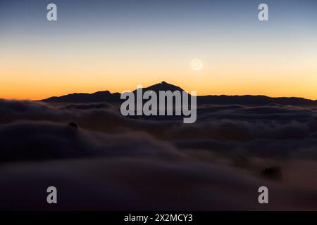 Une vue éthérée de la silhouette du Teide contre un doux coucher de soleil, avec une mer scintillante de nuages en dessous et un ciel clair au-dessus. Banque D'Images