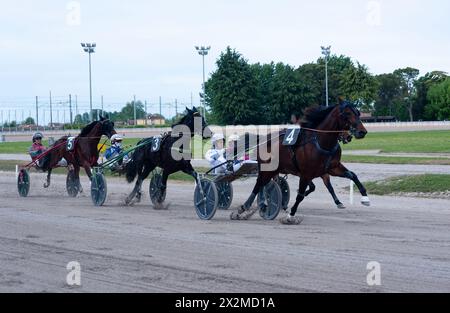 GP Elwood Medium, Padoue 21 avril 2024, course internationale de trot avec chevaux numérotés et jockeys sur une piste de terre sous un ciel couvert. Banque D'Images