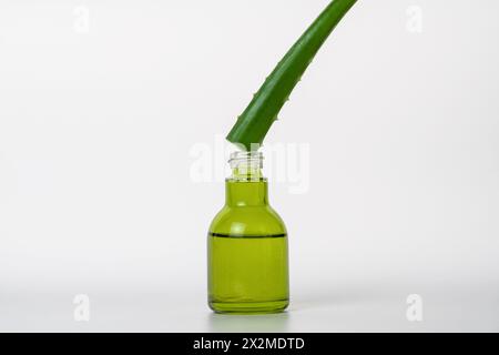 Une feuille d'aloès vert vif est positionnée pour égoutter son extrait naturel dans une bouteille en verre transparent de sérum sur un fond blanc, symbolisant les s organiques Banque D'Images