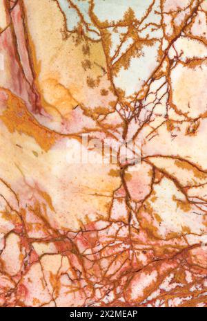 Une vue rapprochée montrant les motifs dendritiques complexes et arborescents et les teintes chaudes d'un spécimen d'agate de mousse de l'Oregon. Banque D'Images