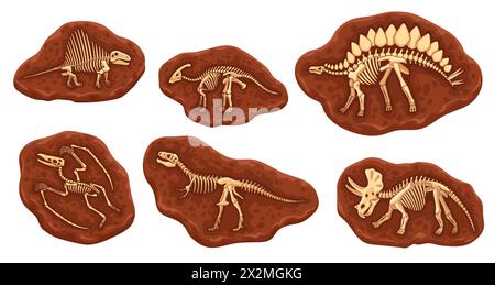 Ossements fossiles de dinosaures de dessins animés en pierre. Squelettes d'animaux Dino, géologie vectorielle, archéologie et paléontologie. Tyrannosaurus, tricératops, spinosaurus, stégosaurus, ptérodactyle, parasaurolophus Illustration de Vecteur