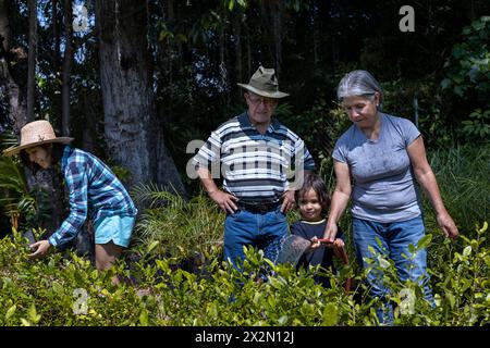 Jardinage avec des enfants. Les grands-parents avec leur fille et leur petit-fils latino-américain travaillent dans leur jardin. Hobbies et loisirs, style de vie, famil Banque D'Images