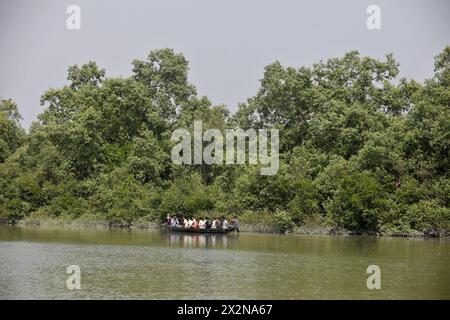 Khulna, Bangladesh - 13 avril 2024 : les Sundorbons sont la plus grande forêt de mangroves du monde. Un site du patrimoine mondial de l'UNESCO et sanctuaire de la faune a Banque D'Images