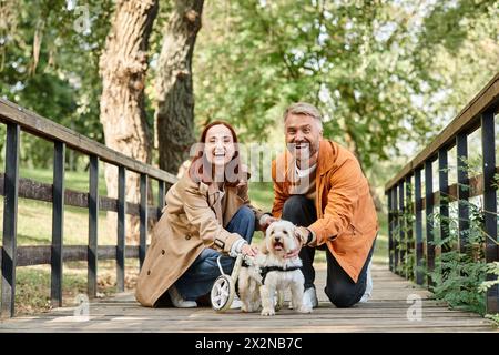 Un homme et une femme agenouillés avec deux chiens dans un parc. Banque D'Images