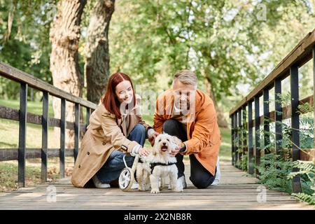 Un homme et une femme s'agenouillent avec deux chiens dans un parc. Banque D'Images