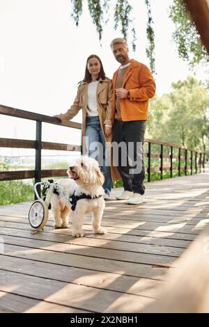 Un homme et une femme, en tenue décontractée, se tiennent sur un pont avec un chien en fauteuil roulant. Banque D'Images