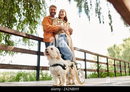 Un couple adulte aimant en tenue décontractée, l'un en fauteuil roulant, profitant d'une promenade avec leur chien dans le parc. Banque D'Images