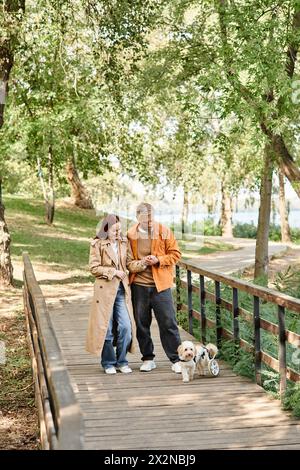 Couple chien marchant sur le pont paisible dans le parc. Banque D'Images