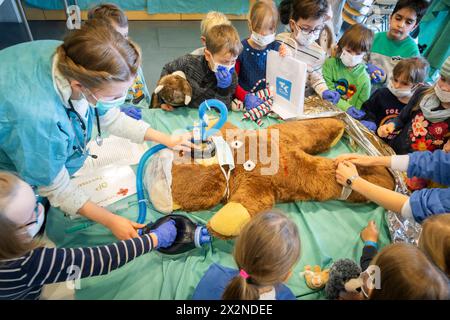 20 Jahre Teddy-Krankenhaus Das Teddy-Krankenhaus öffnet in dieser Woche 23. bis 25. Avril am Universitätsklinikum Carl Gustav Carus Dresden Wieder Seine Türen. Studierende der Medizinischen Fakultät an der tu Dresden organisieren zum 20. Mal das Beliebte Teddy-Krankenhaus. Die Idee : Wenn Kinder spielerisch erfahren, was BEI einem Arztbesuch passiert, haben sie weniger Angst, wenn sie selbst mal krank sind. Die Medizinstudierenden wiederum erfahren in der Praxis, wie sie medizinisch komplizierte Sachverhalte einfach und verständlich kommunizieren. Bis zu 20,000 Kinder aus Dresden und Umgebung h Banque D'Images