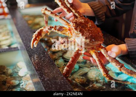 crabe marin vivant dans la main restaurateur Banque D'Images