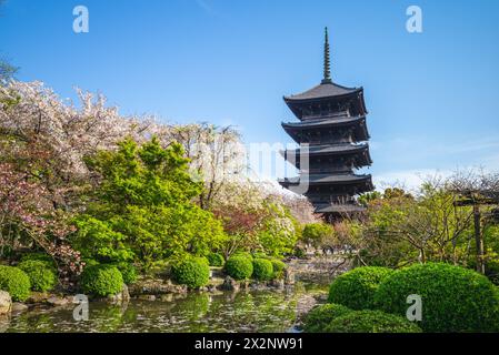 Trésor national cinq étages pagode du temple Toji à Kyoto, Japon avec des fleurs de cerisier Banque D'Images