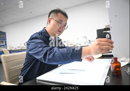 (240423) -- TIANJIN, 23 avril 2024 (Xinhua) -- Gao Xuemiao prépare un agent pour une expérience au laboratoire de la bibliothèque de Tianjin dans la municipalité de Tianjin, au nord de la Chine, 18 avril 2024. La bibliothèque de Tianjin abrite une collection de 590 000 livres anciens et a mené des travaux de restauration de livres anciens pendant plus de 70 ans. Gao Xuemiao, 38 ans, dirige l’équipe de restauration de la bibliothèque. Il est le premier expert en restauration ayant une formation en chimie depuis la création du département en 1978. De nos jours, la restauration de livres anciens est de plus en plus considérée comme un processus interdisciplinaire. L'incorpora Banque D'Images