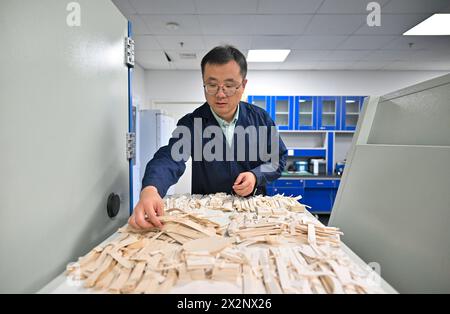 (240423) -- TIANJIN, 23 avril 2024 (Xinhua) -- Gao Xuemiao choisit des échantillons de papier pour la restauration de livres anciens à la bibliothèque de Tianjin dans la municipalité de Tianjin, dans le nord de la Chine, 22 avril 2024. La bibliothèque de Tianjin abrite une collection de 590 000 livres anciens et a mené des travaux de restauration de livres anciens pendant plus de 70 ans. Gao Xuemiao, 38 ans, dirige l’équipe de restauration de la bibliothèque. Il est le premier expert en restauration ayant une formation en chimie depuis la création du département en 1978. De nos jours, la restauration de livres anciens est de plus en plus considérée comme un processus interdisciplinaire. L'incorp Banque D'Images