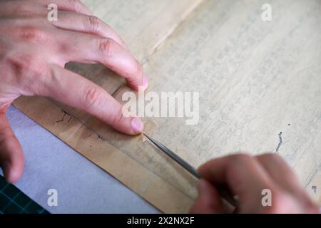 (240423) -- TIANJIN, 23 avril 2024 (Xinhua) -- un membre du personnel restaure un livre ancien à la bibliothèque de Tianjin, dans la municipalité de Tianjin, dans le nord de la Chine, le 22 avril 2024. La bibliothèque de Tianjin abrite une collection de 590 000 livres anciens et a mené des travaux de restauration de livres anciens pendant plus de 70 ans. Gao Xuemiao, 38 ans, dirige l’équipe de restauration de la bibliothèque. Il est le premier expert en restauration ayant une formation en chimie depuis la création du département en 1978. De nos jours, la restauration de livres anciens est de plus en plus considérée comme un processus interdisciplinaire. L'incorporation de produits chimiques et Banque D'Images