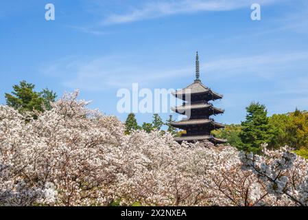 Pagode à cinq étages du temple Ninnaji à Kyoto, Kansai, Japon Banque D'Images