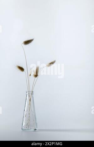 Un vase avec quelques fleurs séchées dedans, y compris quelques plumes et une fleur séchée. Le vase est vide et les fleurs y sont placées. Banque D'Images