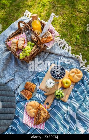 Couette de pique-nique et panier avec différents aliments, fruits, jus d'orange., yaourt et pain sur l'herbe verte Banque D'Images