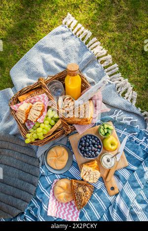 Couette de pique-nique et panier avec différents aliments, fruits, jus d'orange., yaourt et pain sur l'herbe verte Banque D'Images