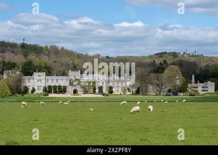 Vue de West Dean House et domaine de campagne au printemps avec moutons et agneaux pâturant dans les champs, West Sussex, Angleterre, Royaume-Uni Banque D'Images