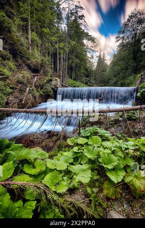 Vue imprenable sur cascède près de bride's Veil / Valul Miresei Cascade. Scène dramatique dans le parc naturel d'Apuseni, comté de Cluj, Transylvanie, Roumanie, Europ Banque D'Images