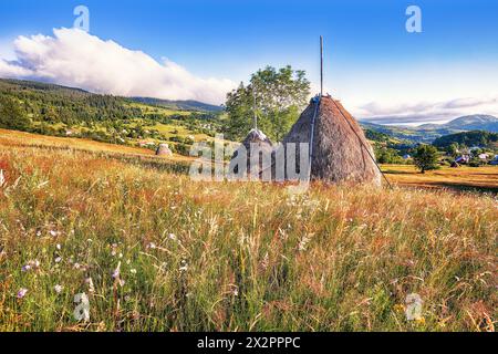 Paysage de campagne étonnant du village roumain Rogojel avec des collines boisées et des bottes de foin sur un champ rural herbeux dans les montagnes. Lieu : Rogojel, C Banque D'Images