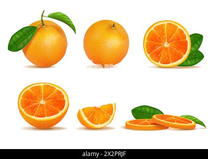 Tranches d'orange. Agrumes de fruits demi-coupés et entiers, vue de face et de côté de la nourriture vitaminée avec des feuilles vertes. Mandarine fraîche mûre pour étiquette d'emballage de jus. Illustration isolée réaliste. Ensemble de vecteurs 3D. Illustration de Vecteur
