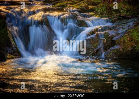 Sections de Rocky Fork Creeek dans le Lamar Alexander Rocky Fork State Park qui est le parc de la forêt nationale Cherokee dans le Tennessee. Banque D'Images