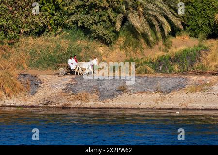 Deux hommes égyptiens montés dans une charrette tirée par un âne sur les rives du Nil, Assouan, Egypte Banque D'Images