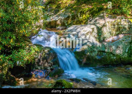 Sections de Rocky Fork Creeek dans le Lamar Alexander Rocky Fork State Park qui est le parc de la forêt nationale Cherokee dans le Tennessee. Banque D'Images