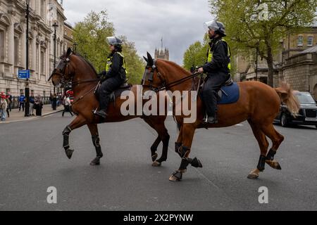 Des violences éclatent lors d'une parade de la St Georges dans le centre de Londres. Les fans de football et les Patriots descendent dans le centre de Londres pour célébrer la St Georges Day. Banque D'Images