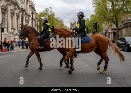 Des violences éclatent lors d'une parade de la St Georges dans le centre de Londres. Les fans de football et les Patriots descendent dans le centre de Londres pour célébrer la St Georges Day. Banque D'Images