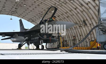 Les mainteneurs du 80th Fighter Generation Squadron effectuent des procédures de maintenance sur un F-16 Fighting Falcon de l'US Air Force pendant Korea Flying Trai Banque D'Images