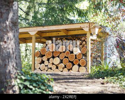 Vue d'un bois de chauffage empilé sur le support pour l'utilisation de la chaleur domestique, pile de bois montrant l'extrémité coupée des bûches. Banque D'Images